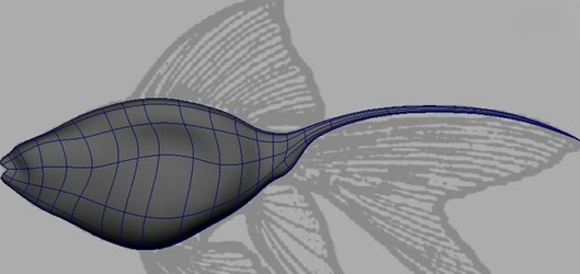 maya制作鱼模型的操作流程