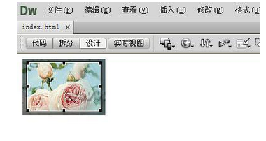 Dreamweaver编辑图片的基础操作