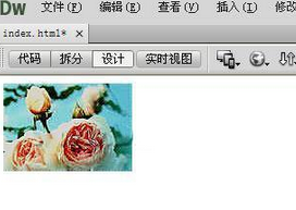 Dreamweaver编辑图片的基础操作
