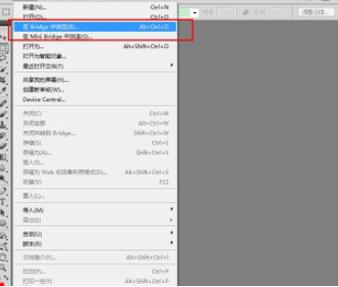 photoshop使用Bridge的操作过程