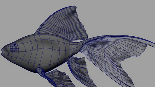maya制作鱼模型的操作流程