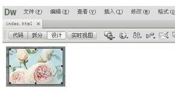 Dreamweaver编辑图片的基础操作