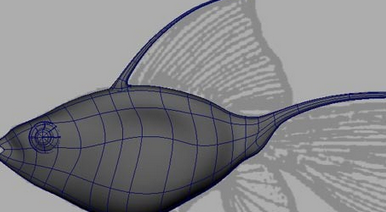 maya制作鱼模型的操作流程