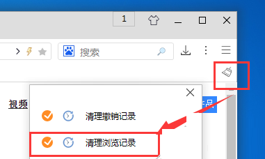 游隼浏览器清空历史记录的操作流程