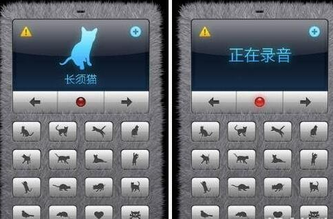 小编教你人猫交流器app使用的详细讲解。