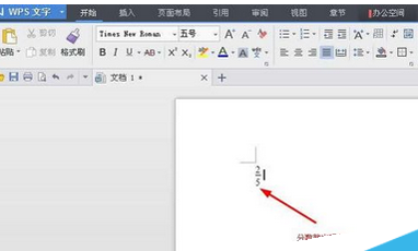 wps打出分数的简单操作