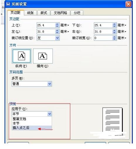 WPS调整文档页面板式的详细操作