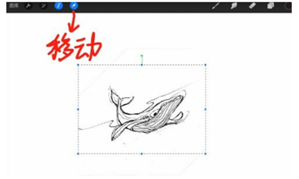 procreate怎么调整局部位置