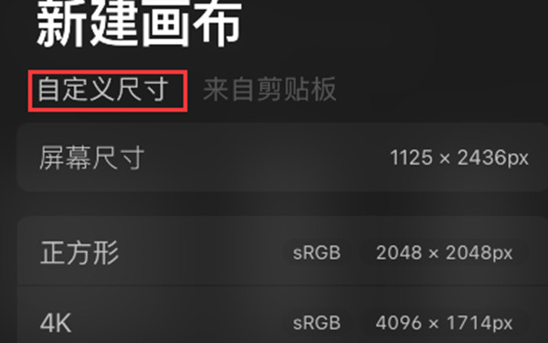 说说procreate分辨率怎么自己设置。