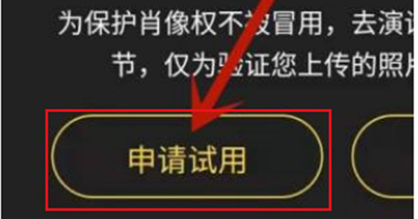 去演软件怎么设置金轮换脸特效