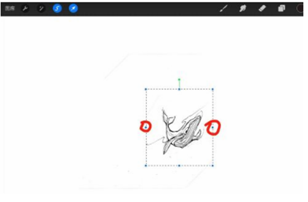 procreate怎么调整局部位置