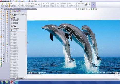 solidworks做出海豚的操作流程
