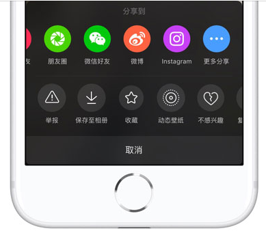 iPhone中下载无水印抖音视频方法