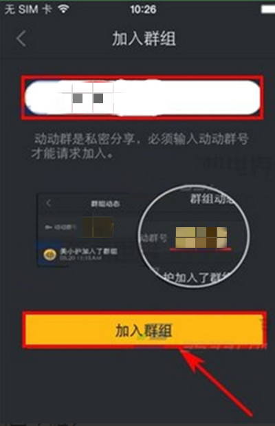 动动怎么加入群组