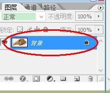 photoshop进行图像旋转的详细操作