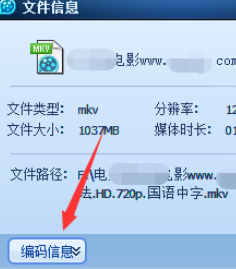 qq播放器查看文件信息的简单操作