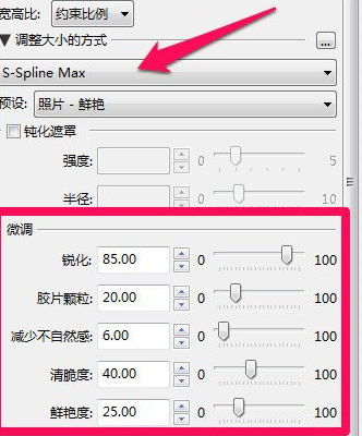 通过PhotoZoom放大图片不失真的操作过程