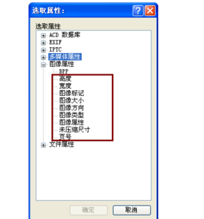 ACDSee设置排序方式的基础操作