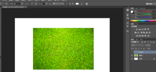 photoshop制造草地文字的操作流程