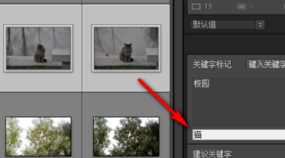 lightroom给照片加关键字的操作流程