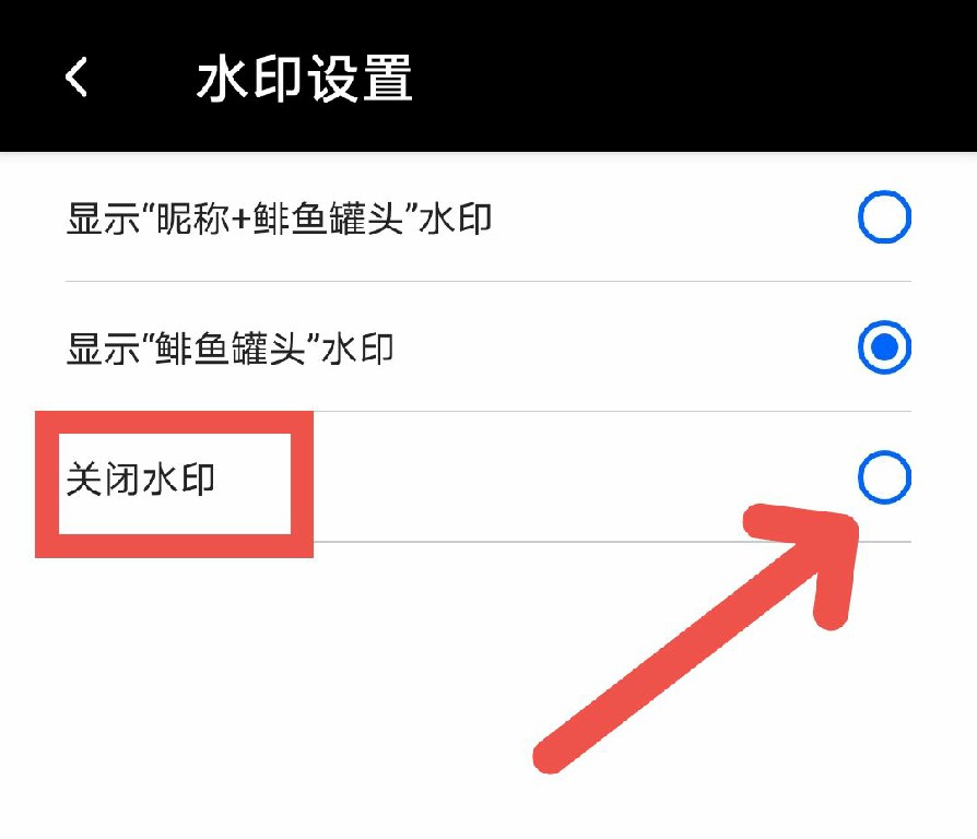 如何关闭鲱鱼罐头APP水印