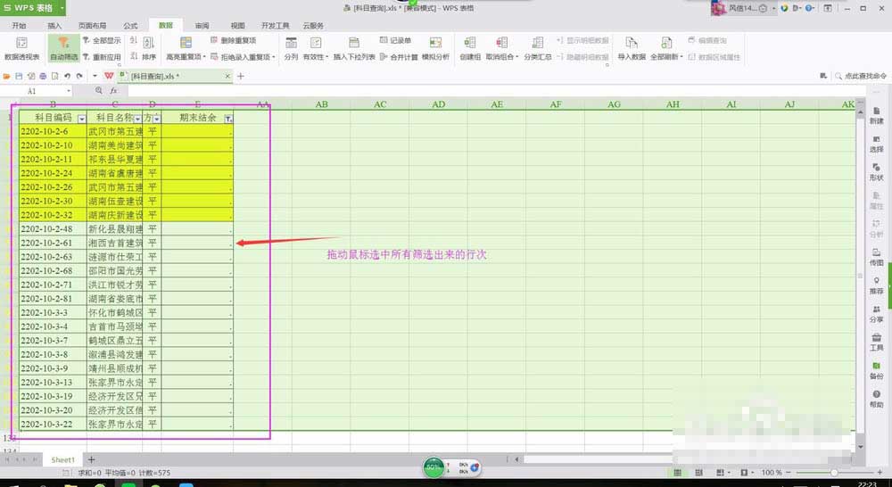 wps表格批量去除无用行的简单操作