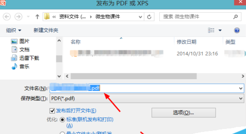 office2007把将ppt转成pdf格式的操作流程