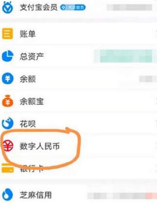 为什么我的支付宝没有数字人民币选项