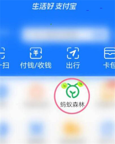 小编分享支付宝蚂蚁森林怎么开启巡护。